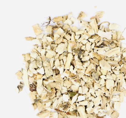Calamus Root