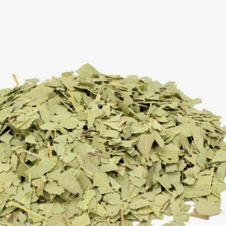 Eucalyptus