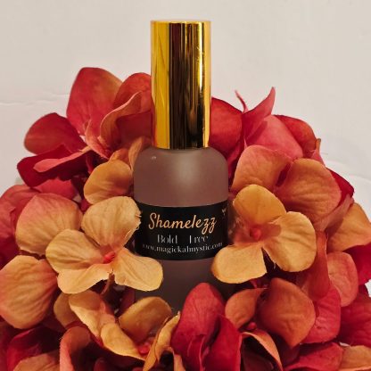 Shamelezz Mist